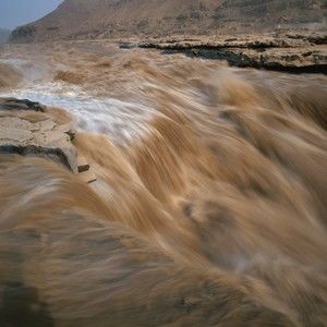 Meet your Posher, Elvis